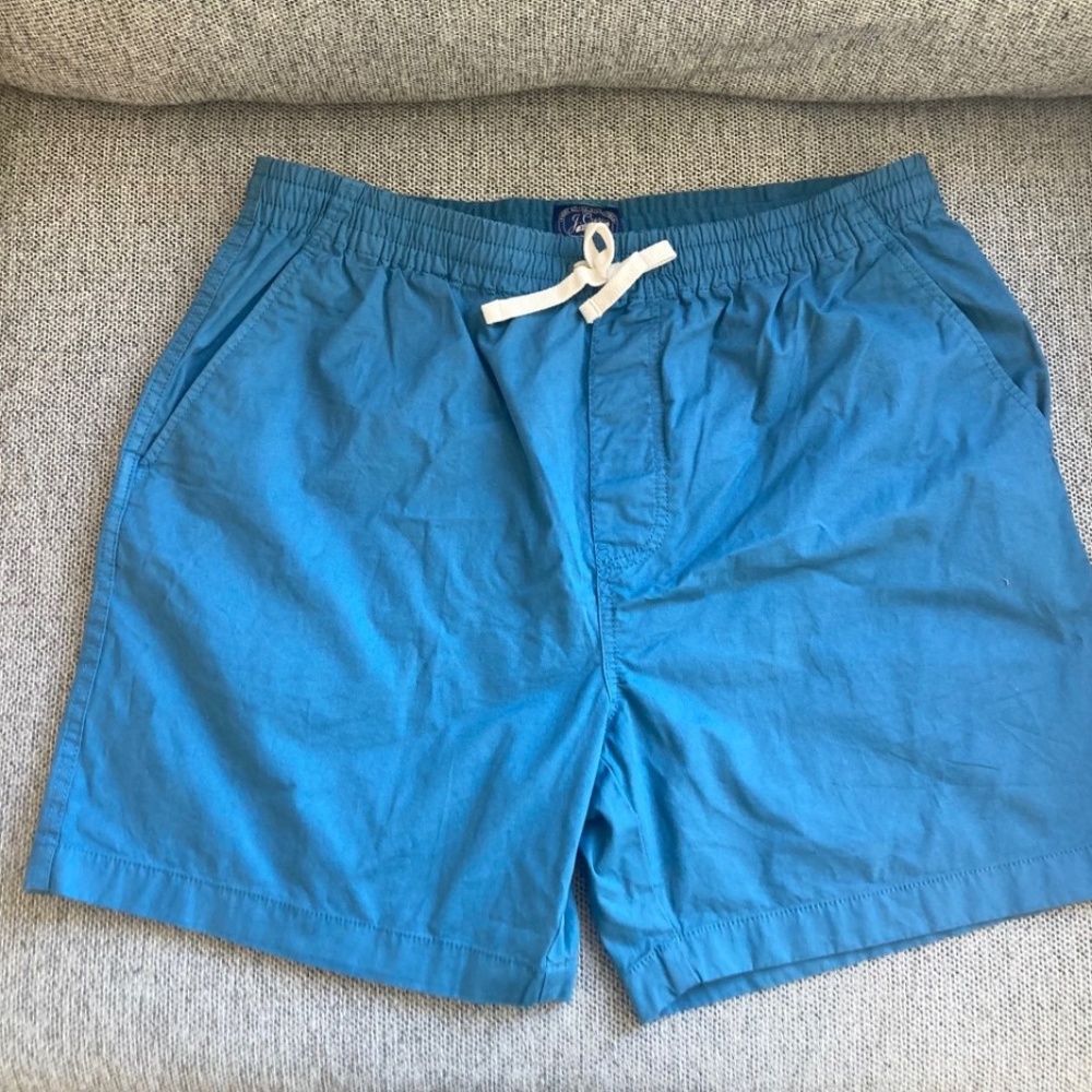 J Crew mens dock shorts